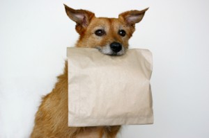 doggy bag meaning